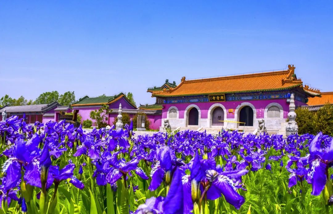 感恩回馈丨低至68元,这个夏天就这么玩......(图37) 图片